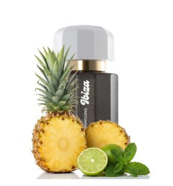 Ibiza Allightlong - Ramon Monegal Gratis råd og forsendelser!