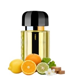 Umbra EDP - Ramon Monegal Livraison gratuite!