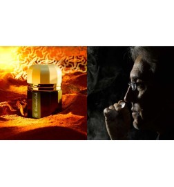 Alhambra Oud - Ramon Monegal Gratis verzending!