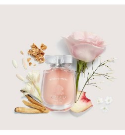 Flores do vento - Creed Aconselhamento gratuito e remessas!